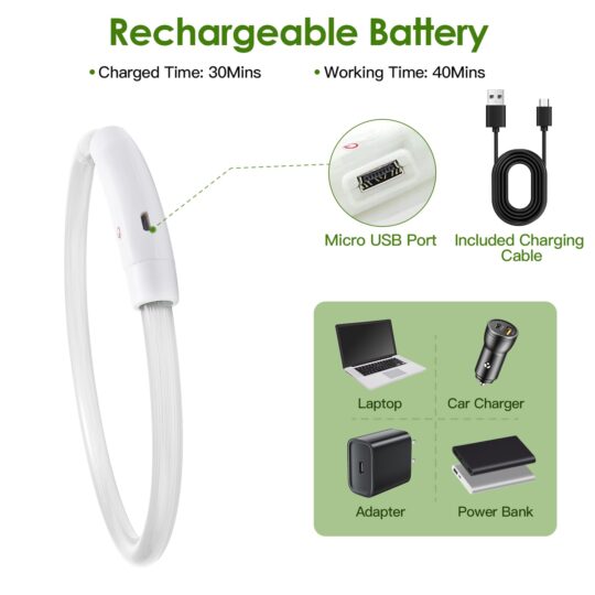 Collar LED para Perros – Seguro y Brillante de Noche