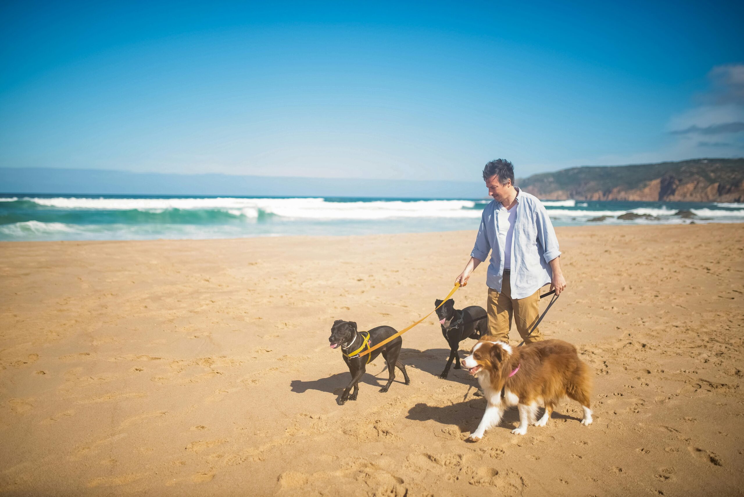A man walks three dogs along a sunlit beach in Portugal. Scenic coastline and clear skies enhance the leisure moment.