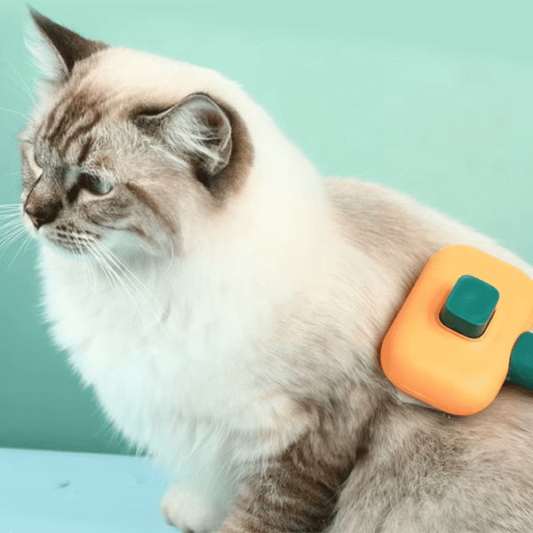 CleanPet Roller
