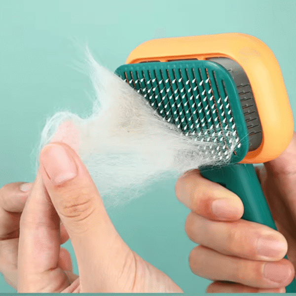 CleanPet Roller