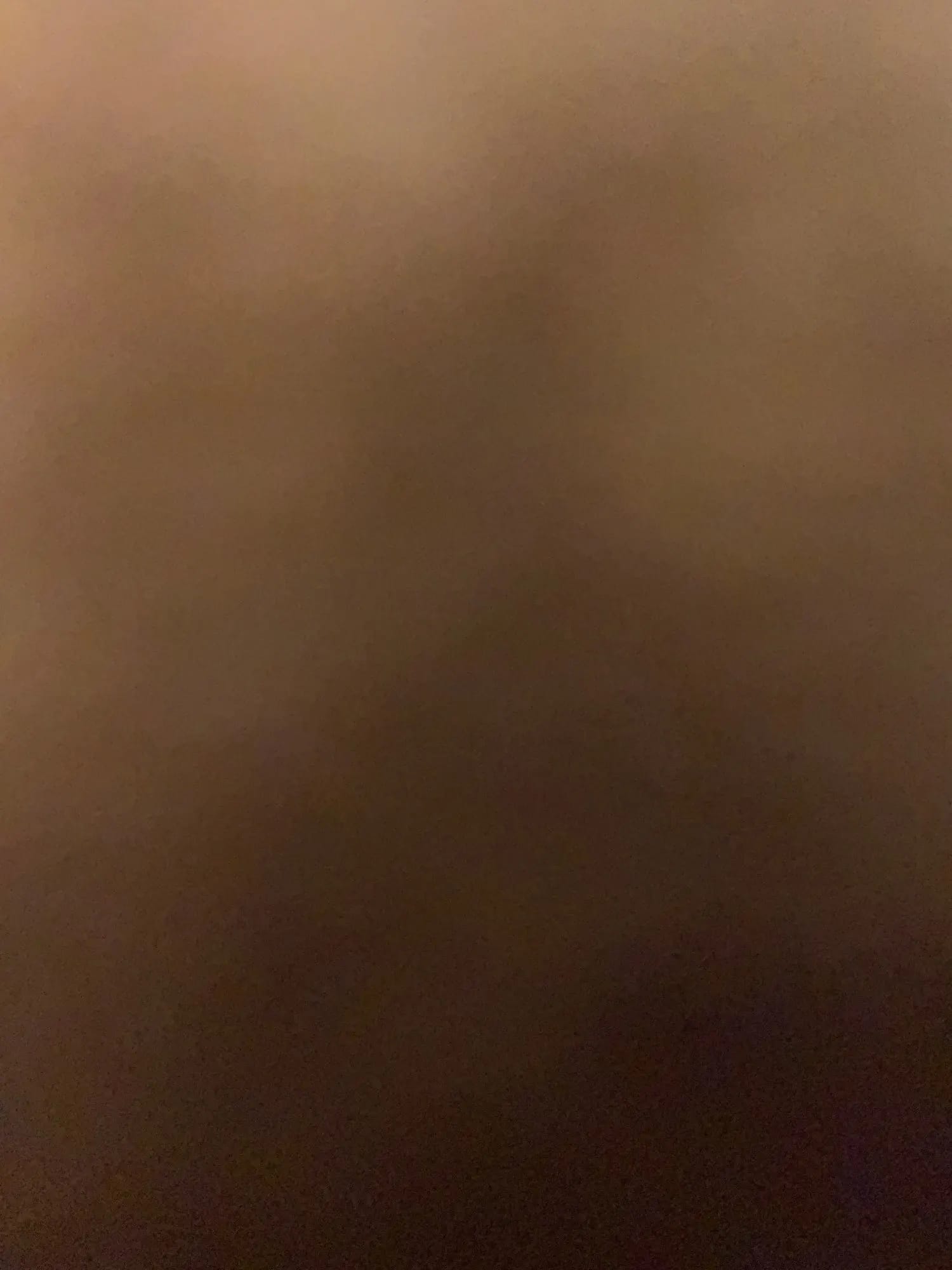 CleanPet Roller