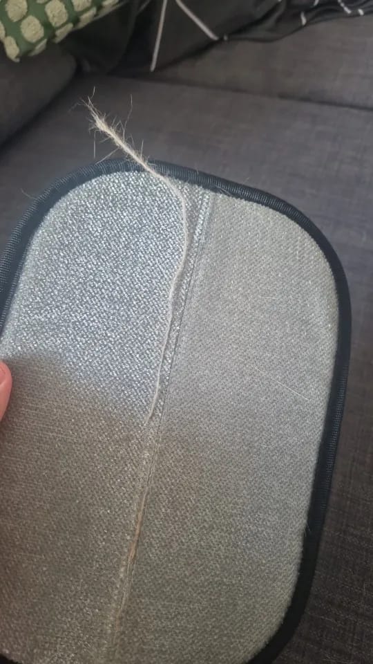 CleanPet Roller