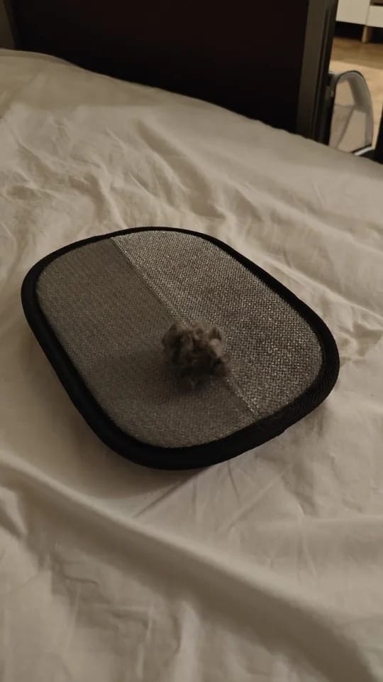 CleanPet Roller