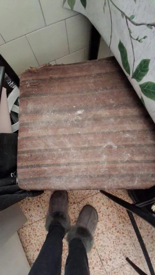 CleanPet Roller