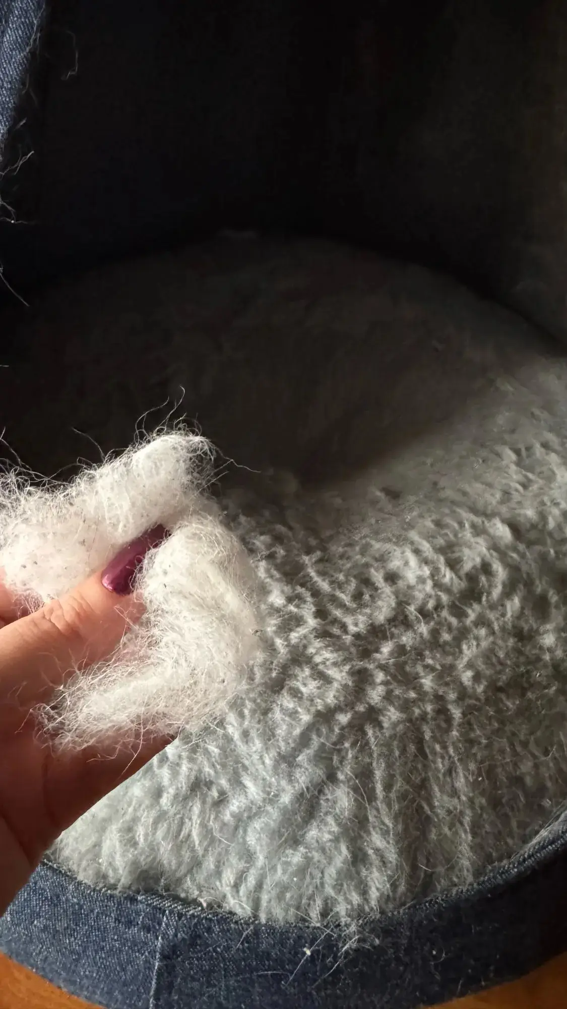 CleanPet Roller