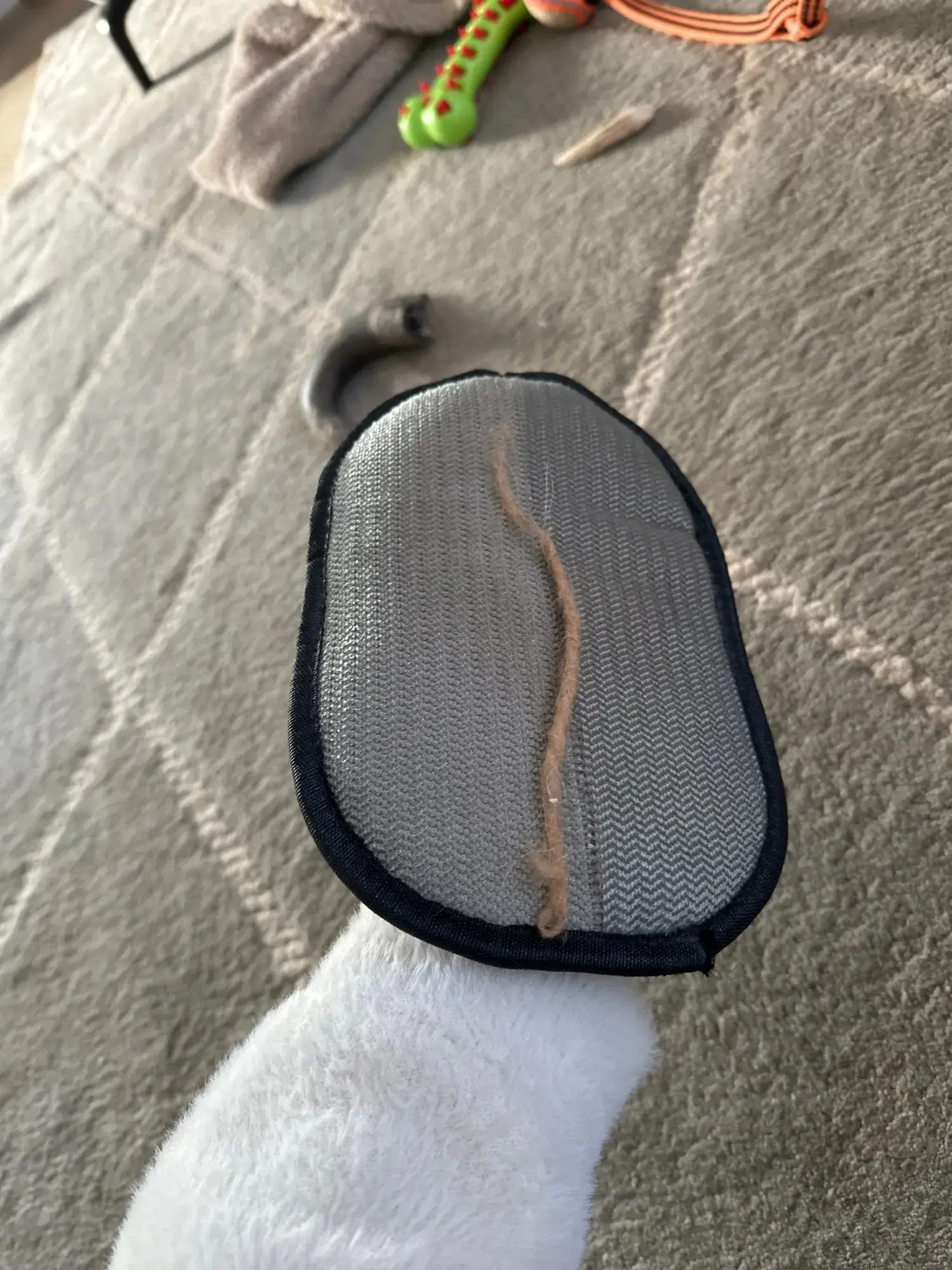 CleanPet Roller