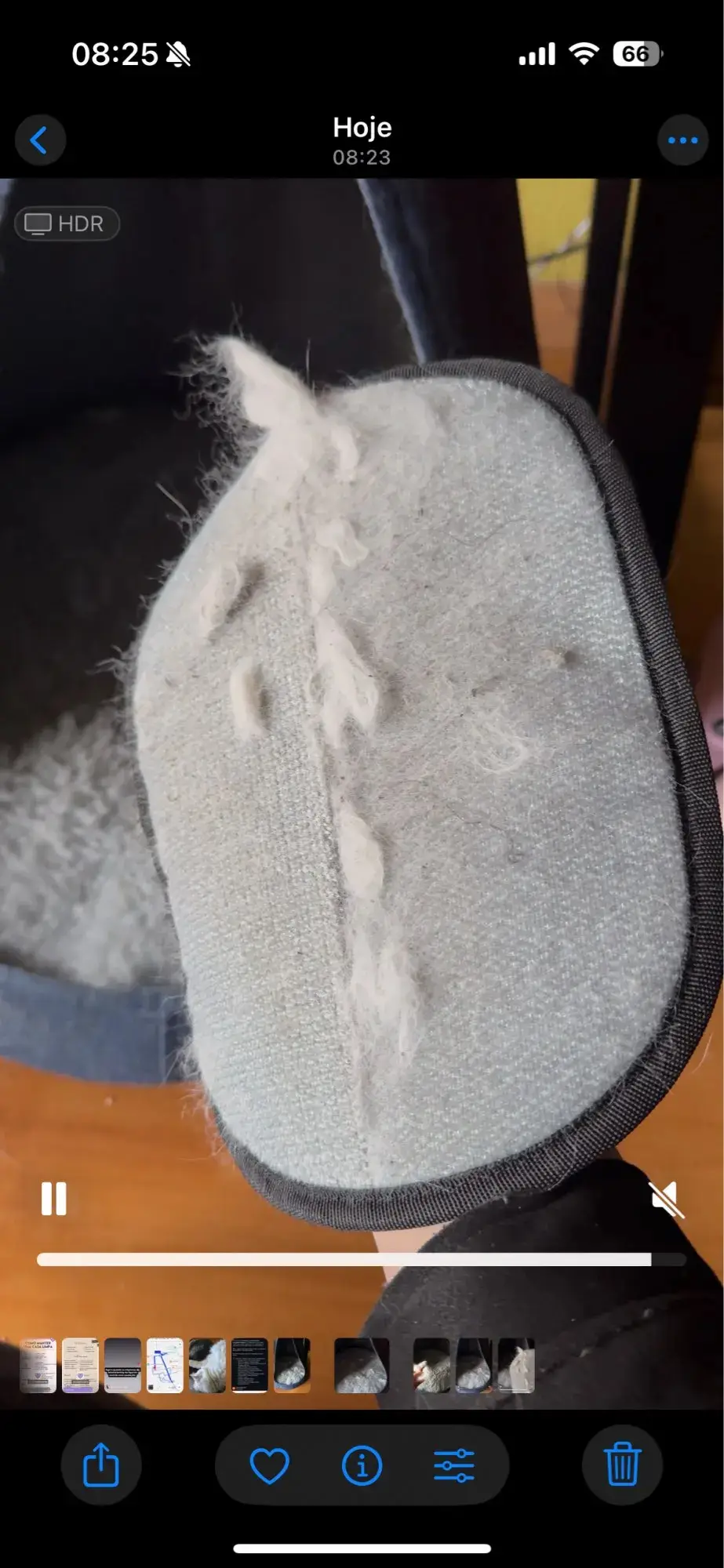 CleanPet Roller